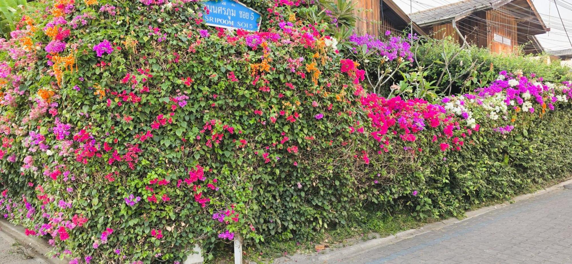 Siriwan Hostel Chiang Mai Exterior foto